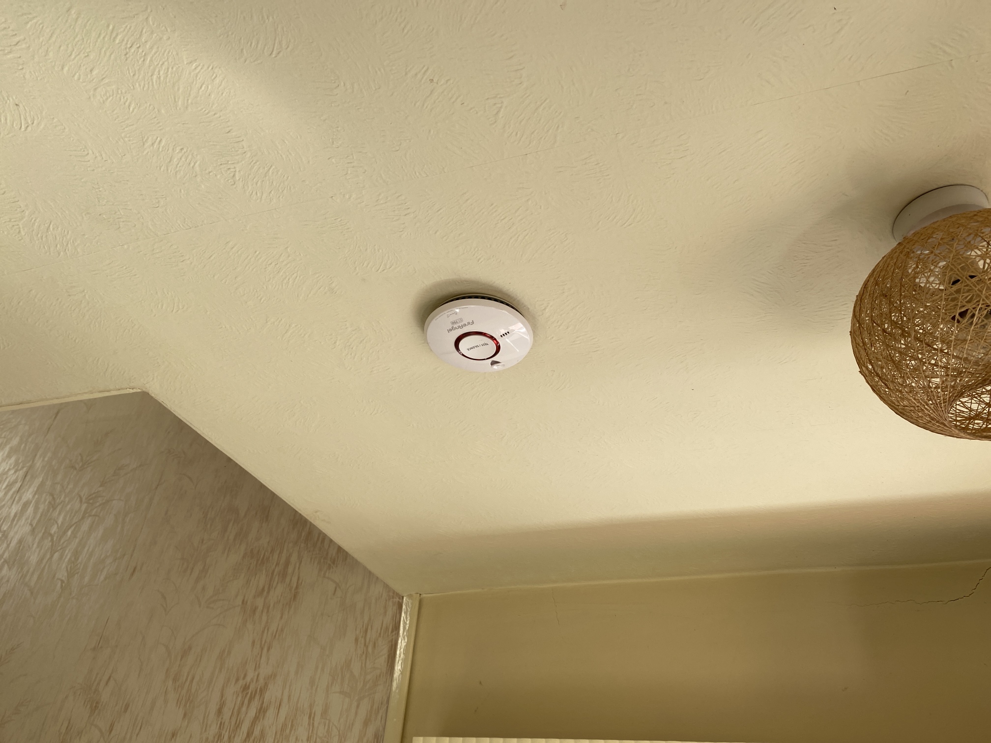 Ceiling mounted alarm